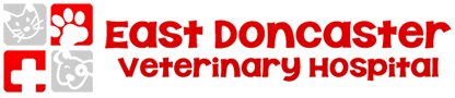 edvh_logo_hor
